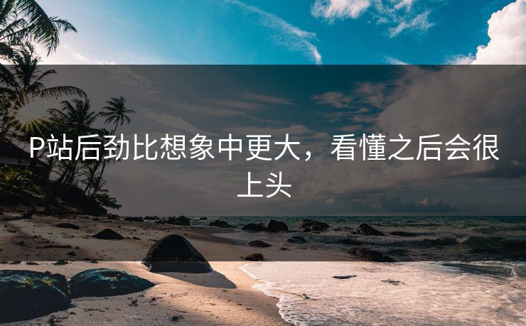 P站后劲比想象中更大,看懂之后会很上头 P站后劲比想象中更大,看懂之后会很上头
