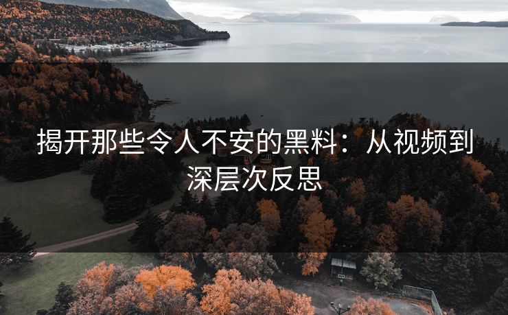揭开那些令人不安的黑料：从视频到深层次反思