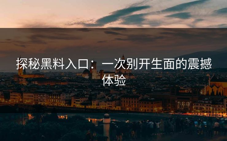 探秘黑料入口:一次别开生面的震撼体验