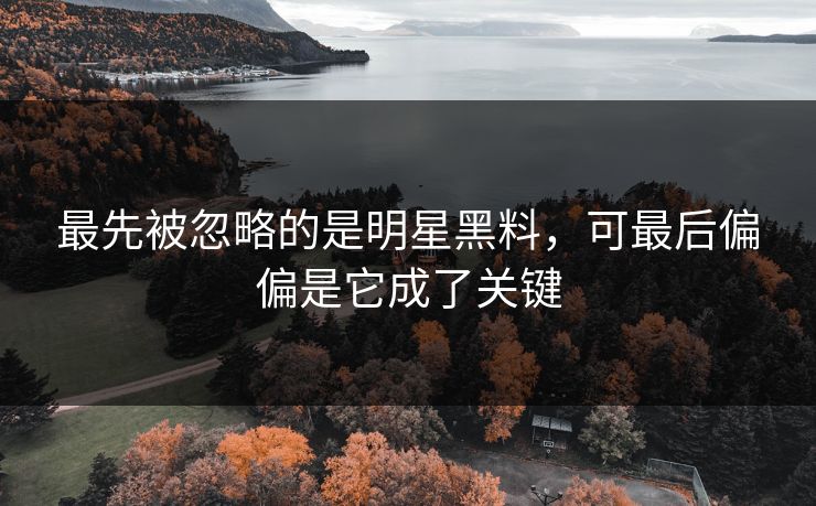 最先被忽略的是明星黑料,可最后偏偏是它成了关键