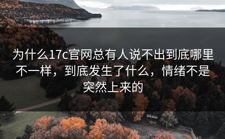 为什么17c官网总有人说不出到底哪里不一样,到底发生了什么,情绪不是突然上来的